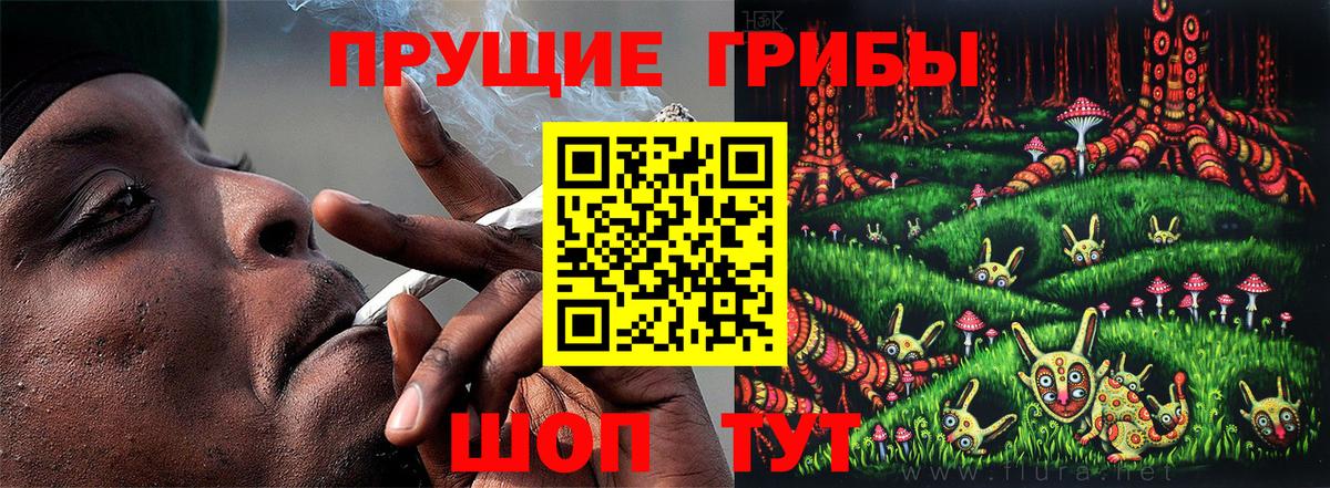 продажа наркотиков  Псилоцибиновые грибы Cubensis  Вход с VPN  Губкин 