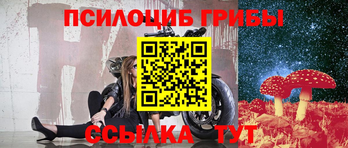 Псилоцибиновые грибы прущие грибы Губкин